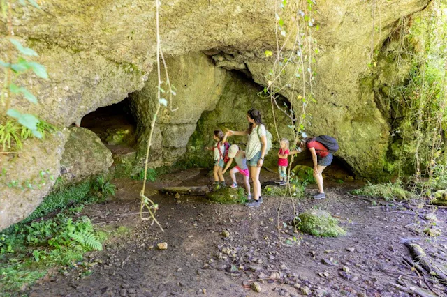Von Dornach-Arlesheim gehts in nur 15 Minuten mit der S3 weiter ins Laufental. Am Bahnhof Zwingen beginnt der Karstlehrpfad, der Sie durch das schöne...