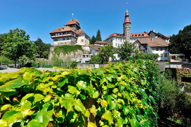 Das Schloss Frauenfeld mit spannenden Ausstellungen sollten Sie sich ebenfalls nicht entgehen lassen.