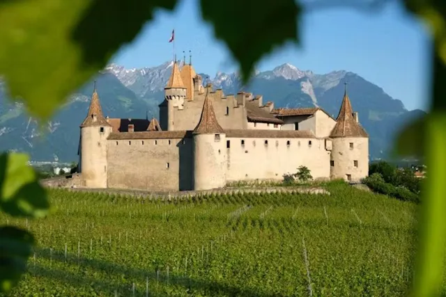 Le long de la balade du Sentier des Vignes se trouve le Château d'Aigle. Il se dresse depuis la fin du XIIe siècle au cœur d’un vignoble réputé où le...