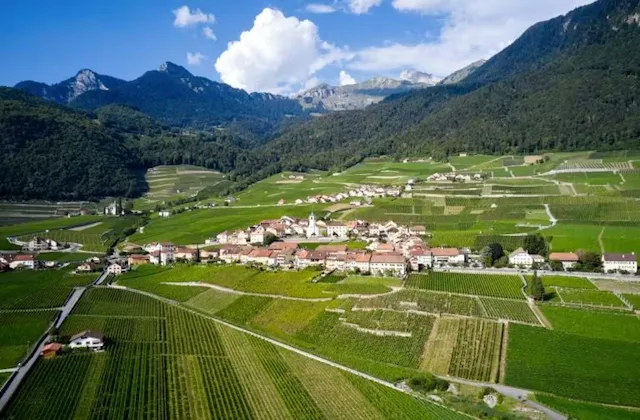 Au départ d’Aigle, cette randonnée de 7,3 km (2h05 de marche), de difficulté moyenne, traverse un paysage façonné par le chasselas, cépage dominant du...