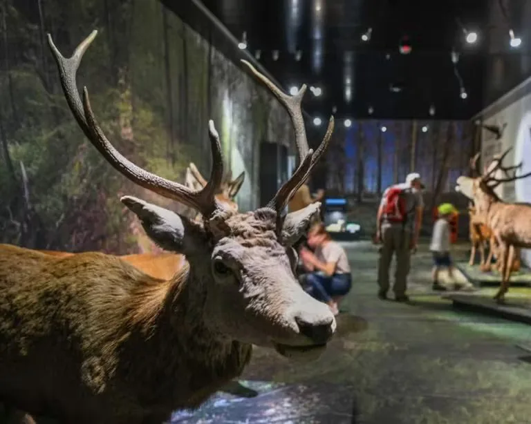 Pour finir la journée sur une note culturelle, cap sur le Musée d’art, le Musée d’histoire et le Musée de la nature, nichés entre Valère et Tourbillon...