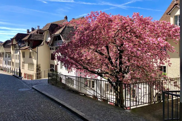 Depuis Brugg, le train S29 rejoint la vieille ville d’Aarau en seulement 18 minutes. Ses innombrables ruelles et restaurants donnent envie de s’y atta...