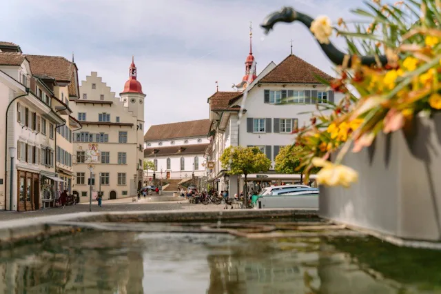 Pour finir, le train S29 vous emmène dans la petite ville pittoresque de Sursee. Ses places animées, son hôtel de ville de style gothique flamboyant e...