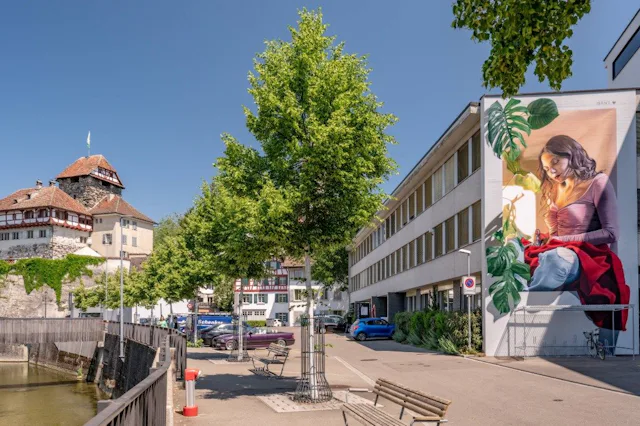 Le street art est bien vivant à Frauenfeld, et de nouvelles œuvres y apparaissent chaque année. Des artistes du monde entier viennent transformer la v...