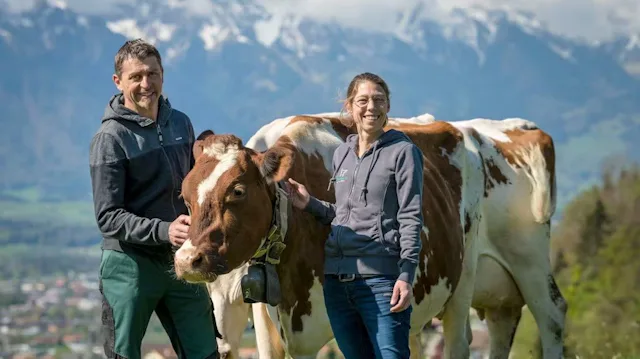 Les Peter et leurs animaux: «Les animaux sont capables de valoriser l’herbe».