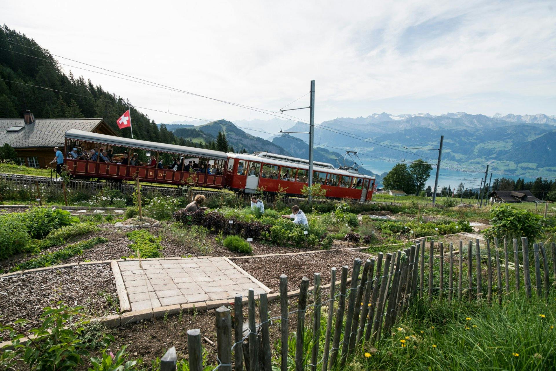 400 Kräuter beherbergt der Kräutergarten des Kräuter Hotel Edelweiss