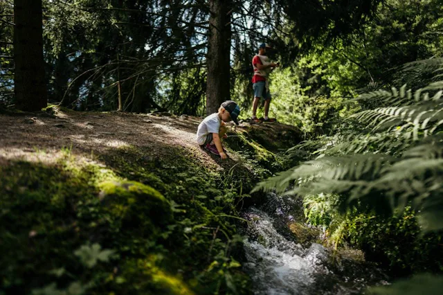 Spazierwege entlang des Wassers bieten Schatten