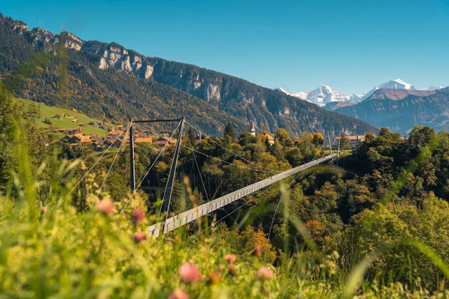 Panorama Hängebrücke in Sigriswil