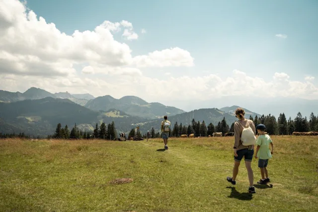 Unterwegs in der Region Les Paccots locken fantastische Aussichten und regionale Spezialitäten.