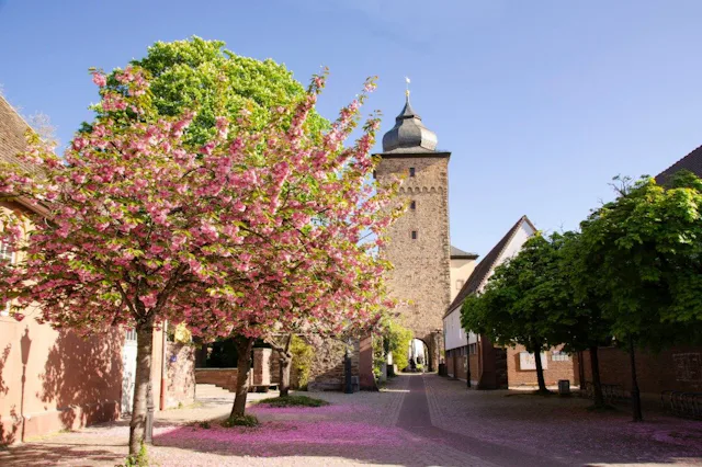 Credit: KTG Karlsruhe Tourismus GmbH