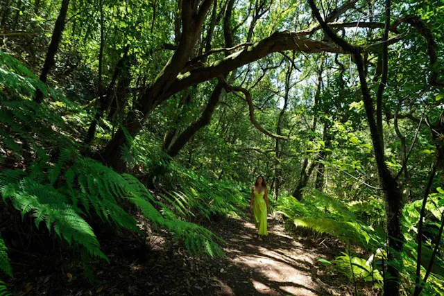 Lauysilve – Parc rural d’Anaga