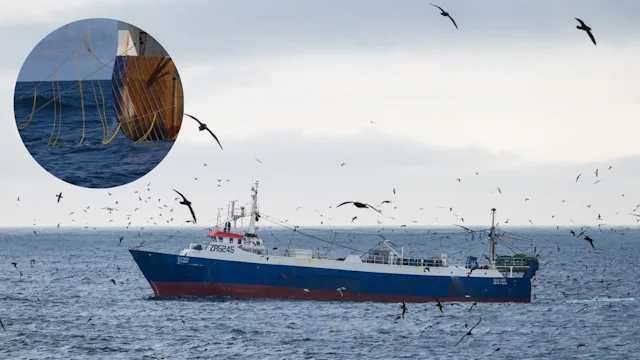 Seehechtfischerei – Südafrika. Flatternde Bänder schrecken Seevögel von den Fanggeräten ab und reduzieren den Beifang von Albatrossen um bis zu 99%.