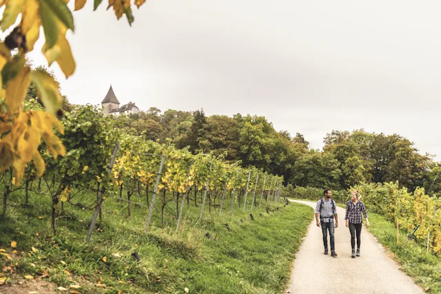 Zweites Highlight: Lust auf eine schöne Weinwanderung? Dann fahren Sie von Frauenfeld noch 12 Minuten weiter nach Weinfelden. Direkt vom Bahnhof führt...