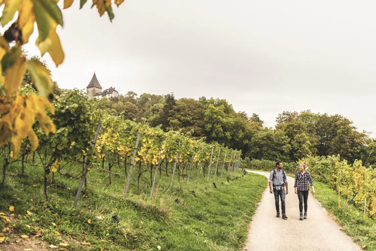 Incontournable no 2: envie d’une randonnée viticole     ? Alors poursuivez votre route jusqu’à Weinfelden, à 12 minutes de Frauenfeld. Depuis la gare,...