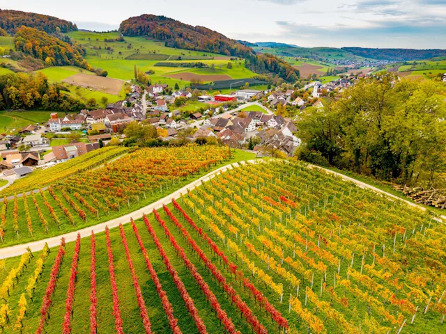 Incontournable no 1: les amatrices et amateurs de randonnée et de culture ont de quoi se réjouir. Depuis Olten, le S3 mène à Gelterkinden en seulement...