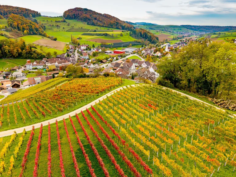 Incontournable no 1: les amatrices et amateurs de randonnée et de culture ont de quoi se réjouir. Depuis Olten, le S3 mène à Gelterkinden en seulement...