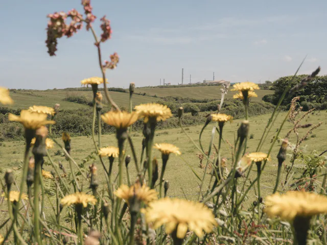 Idyllische Landschaft, industrielle Dimensionen: Hinter den Wiesen der Normandie liegt die Wiederaufbereitungsanlage La Hague.