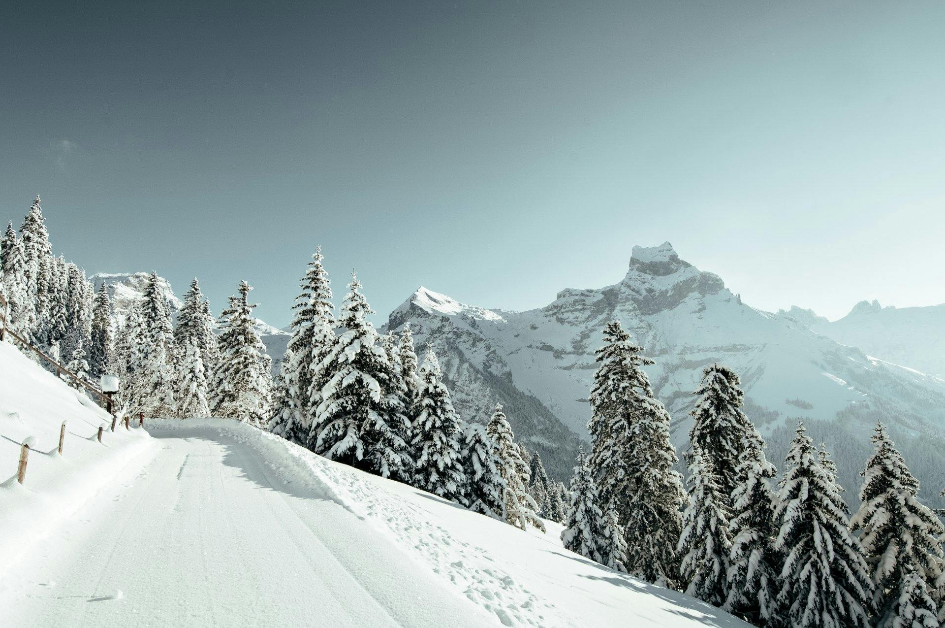 Wie in einem Wintermärchen: Zentralschweizer Berglandschaft im Winter.