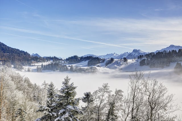 Magisch: Auch auf dem Bürgenstock ist man über der Nebelgrenze.