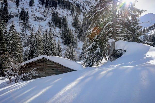 Der Schnee sorgt für absolute Stille. Durchbrechen Sie sie mit Ihren Schritten: Schneebedeckte Landschaft.