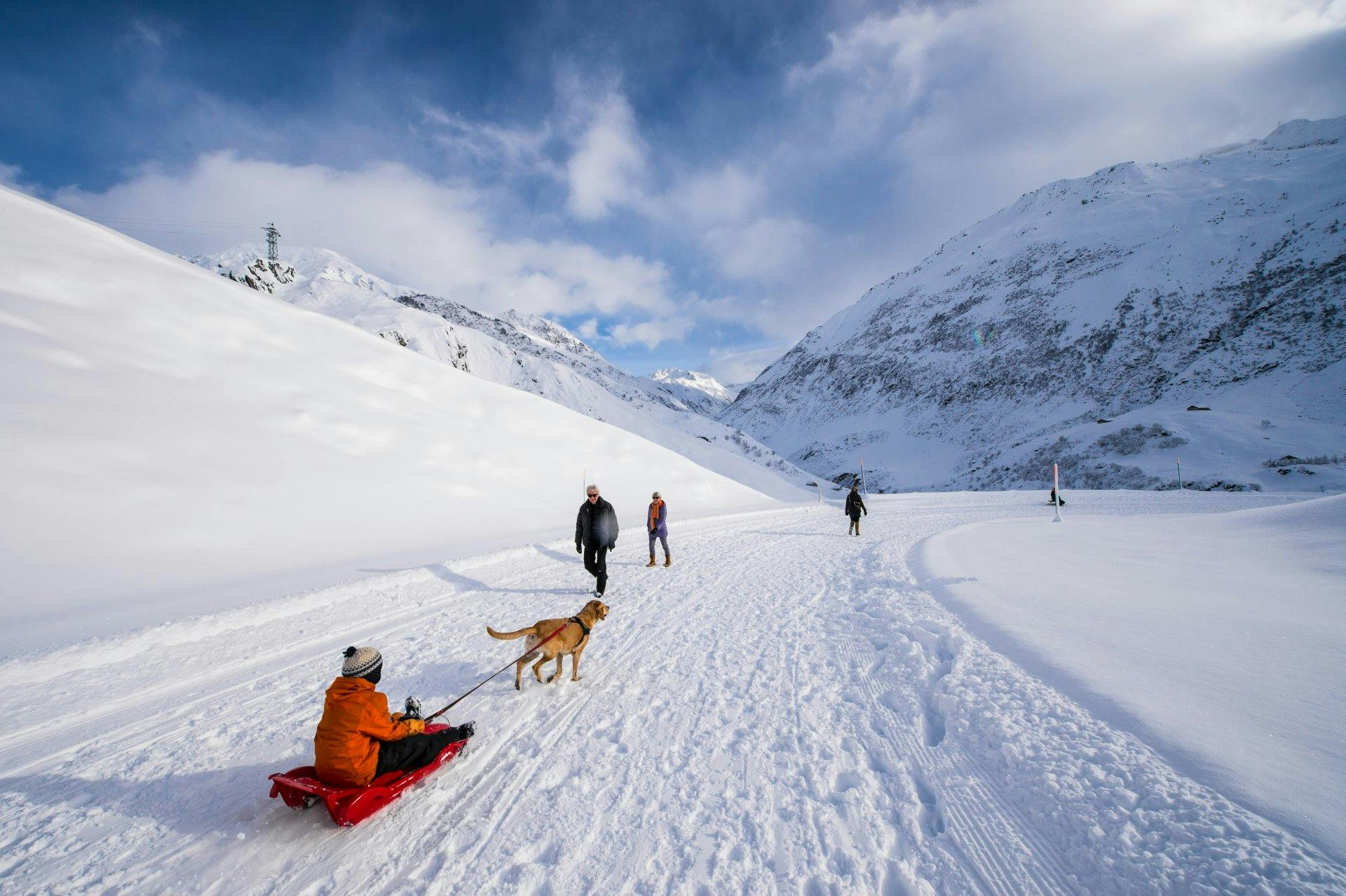 Im Winter wird die Oberalpstrasse verkehrsfrei und damit zur Schlittelpiste: Kind im improvisierten Hundeschlitten.
