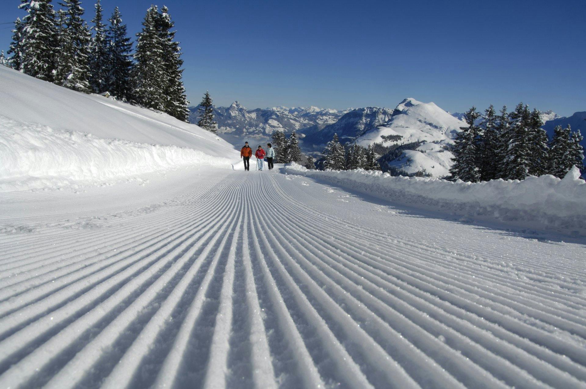 Eine imposante Bergwelt begleitet Sie während
der ganzen Wanderung.