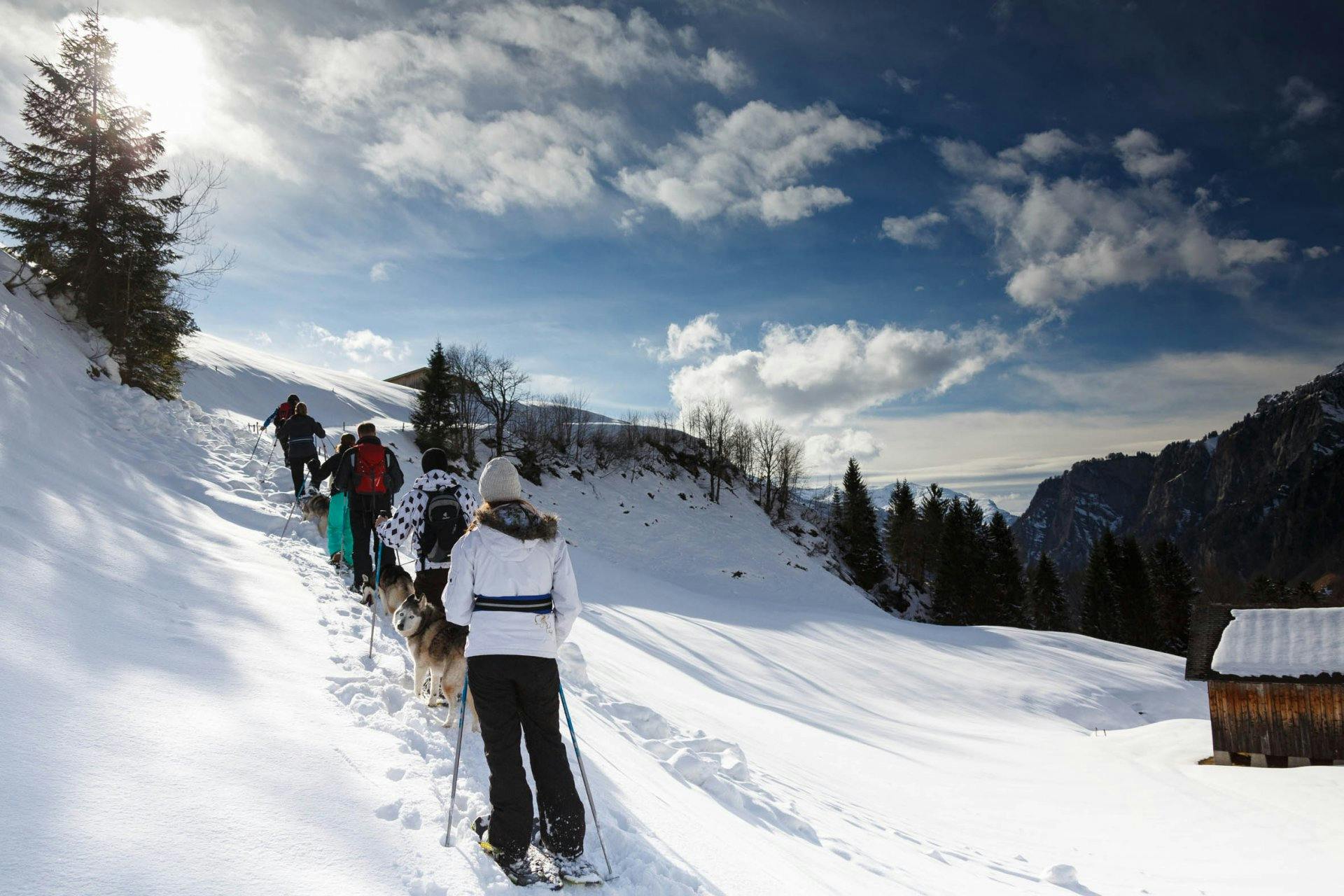 Eine Tour mit Schlittenhunden erlebt man nicht
alle Wintertage.