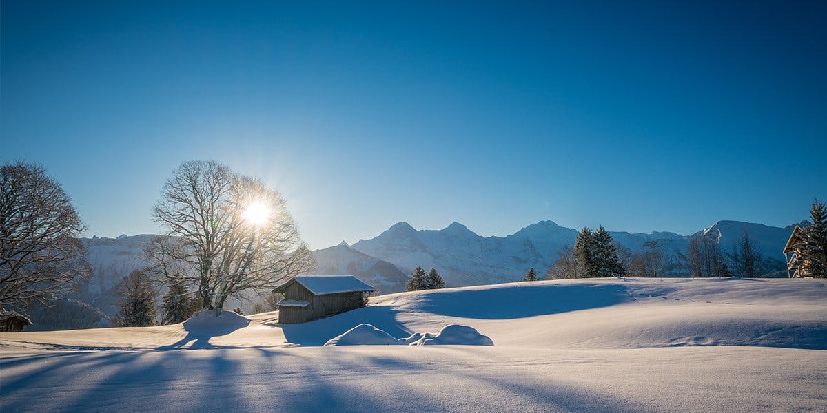 Vitamin-D tanken an den schönsten Aussichtspunkten wie z.B. hier bei Amisbühl auf dem Beatenberg.