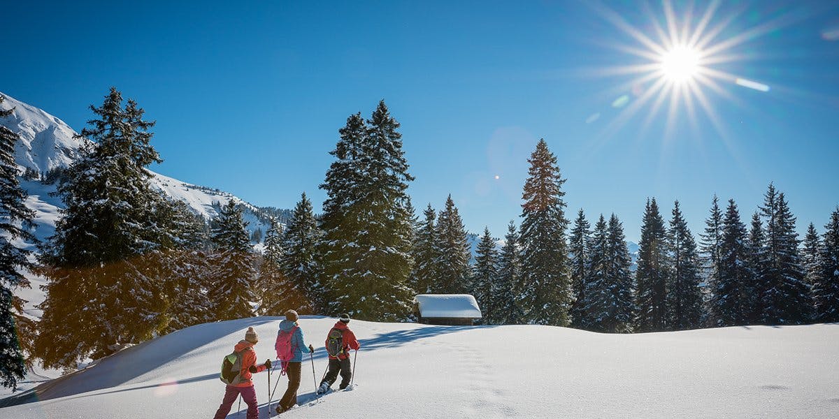 Mit Schneeschuhen durch die Winterlandschaft auf der Lombachalp stampfen.