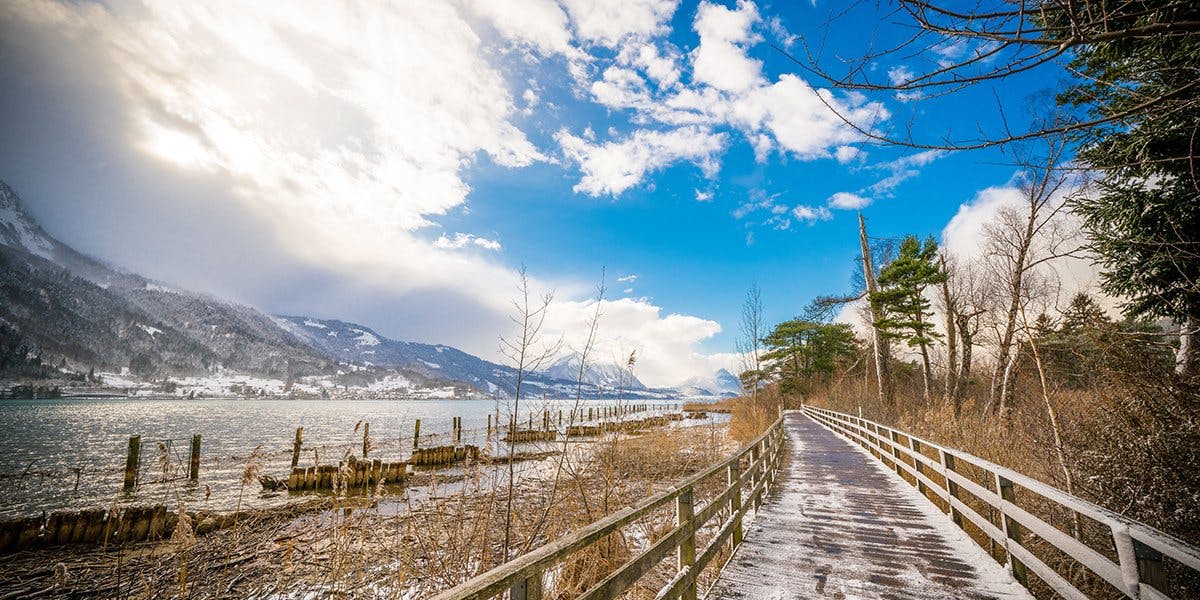 Oder lieber entspannt am See entlang spazieren.