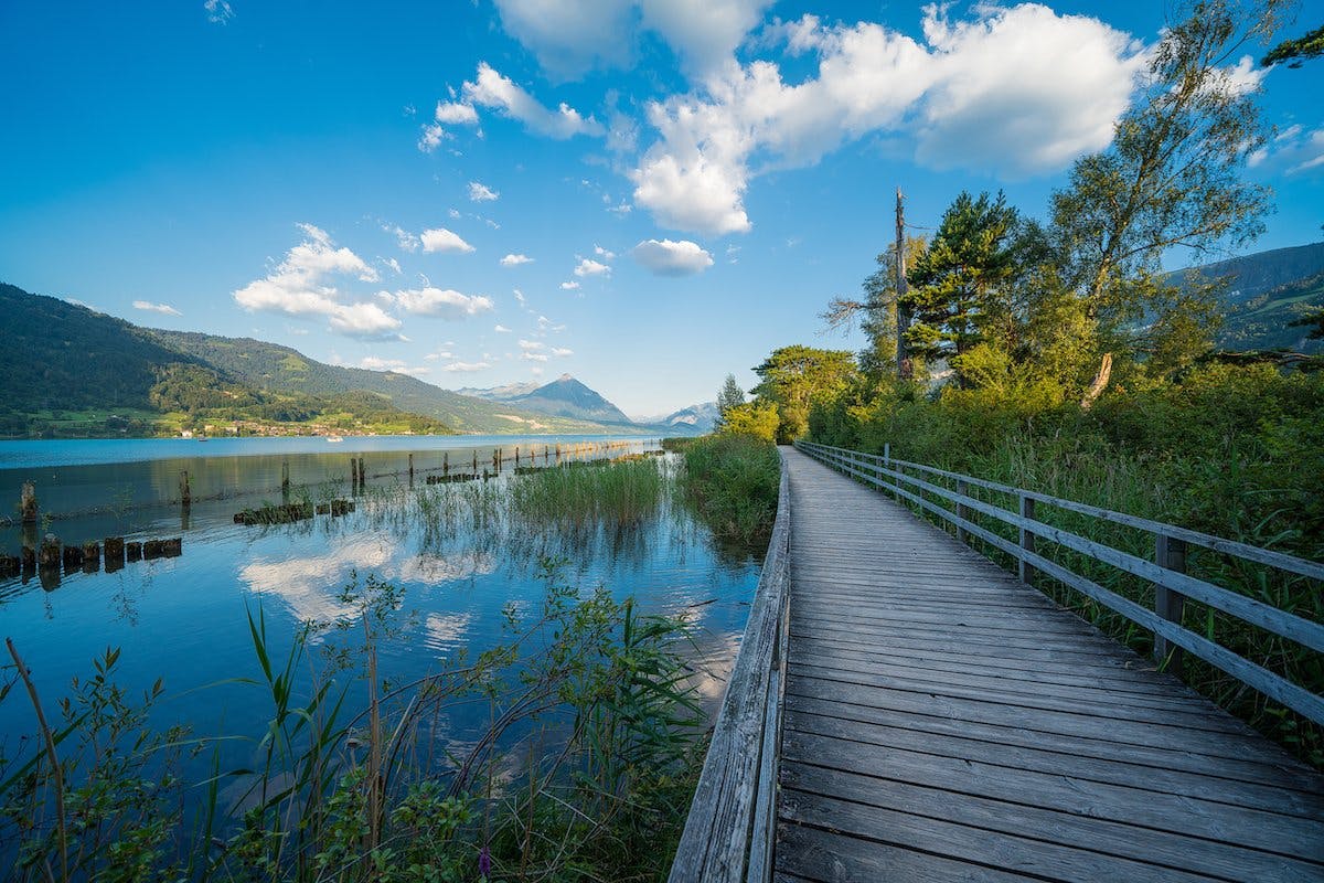 Wassernah – der Holzsteg verbindet Mensch und Natur in der Unterseener Weissenau.