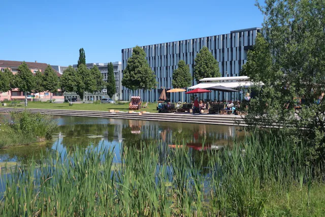 Im untersuchten Praxisbeispiel-Gebiet Liebefeld im Kanton Bern profitieren Menschen und Natur vom nahen Oberflächen-Wasser.
