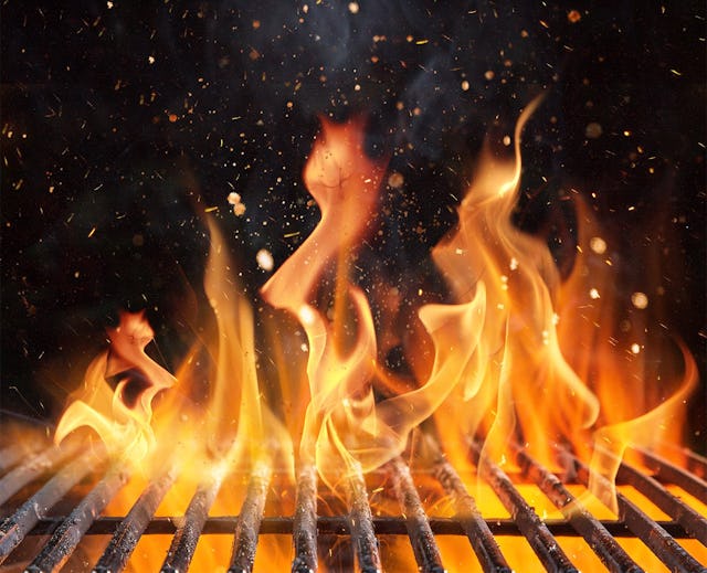 Die grossen Grill-Klassiker.