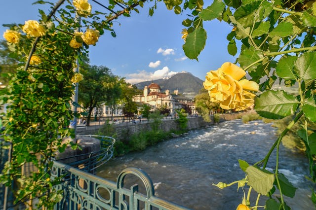 Farbenprächtiges Erlebnis: Das Merano Flower Festival.