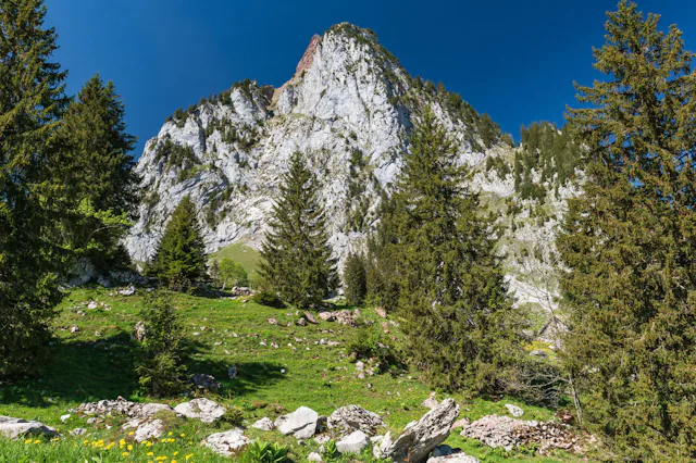 Der grosse Mythen ist das Wahrzeichen der Gemeinde Schwyz und belohnt den Aufstieg mit einem atemberaubenden Panorama.