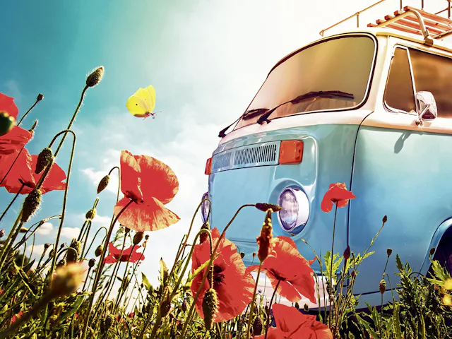 Nicht nur Camping an sich liegt im Trend.  Alte VW-Busse werden umgebaut und in kleine Wohnoasen umfunktioniert.