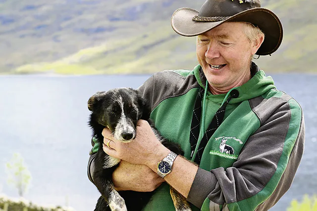 Joe Joyce hat sich auf andere Tiere spezialisiert. Er züchtet in Shanafaraghaun Schafe und Border Collies.
