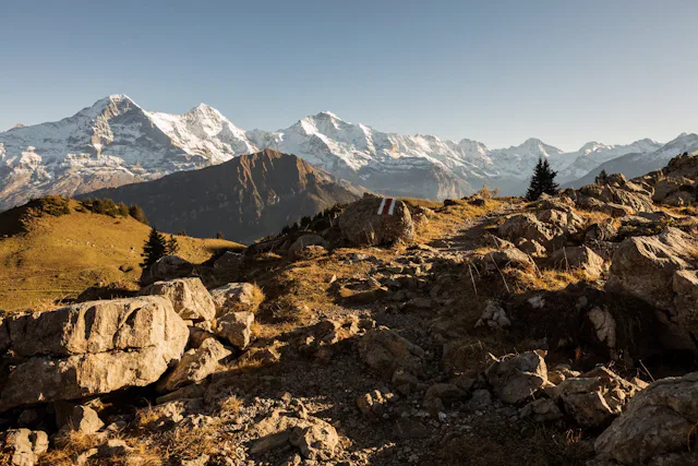 Grenzenlos – Die Jungfraujoch und Wander(s)pass Pauschale bietet freie Fahrt auf dem Streckennetz der Jungfraubahnen, wie hier auf die Schynige Platte. Dazu gibt es zwei oder drei Übernachtungen mit Frühstück.