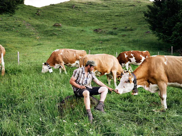 IP-SUISSE fördert die Biodiversität und artgerechte Tierhaltung mit genügend Auslauf und gesundem Futter.