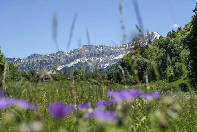 Vorbei an schönen Landschaften