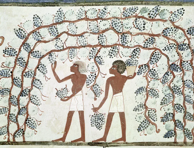 Weinbau in der Antike: Damals wurde der vergorene Rebensaft noch mit Honig, Gewürzen und Kräutern aufbereitet.