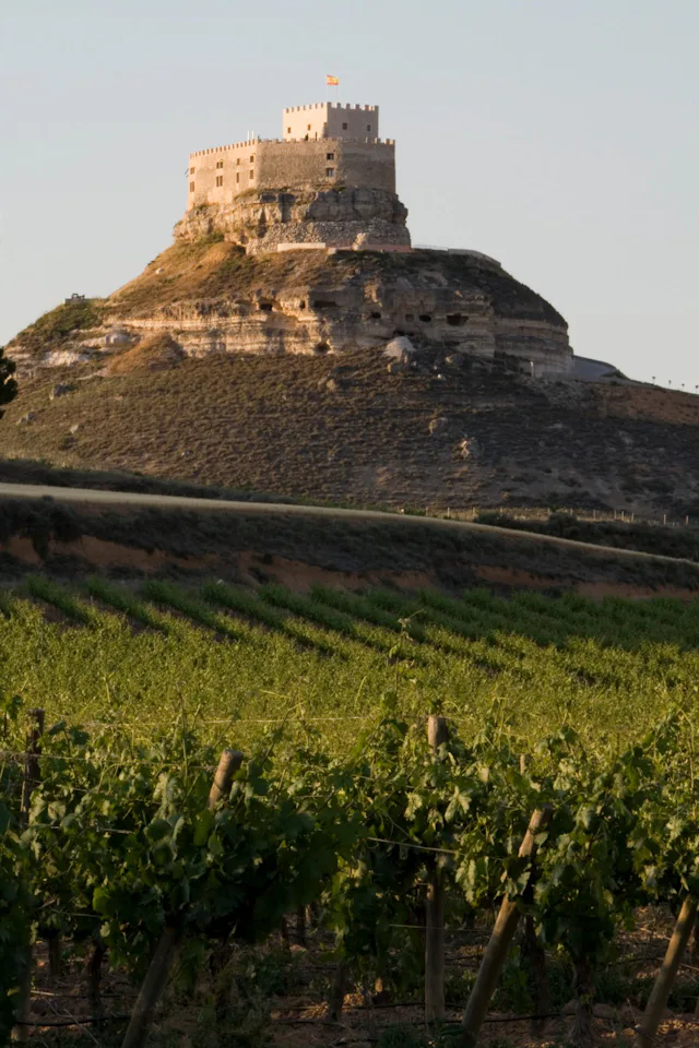 Die Rotweine aus der Region Ribera del Duero zählen zu den besten, die Spanien zu bieten hat.