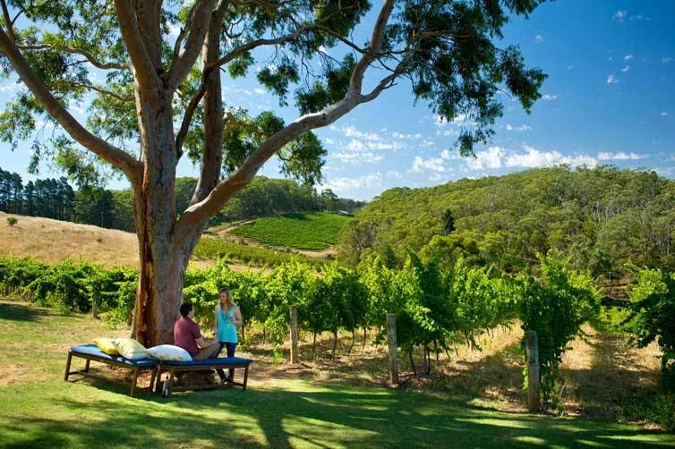 Saugen Sie die Festival-Atmosphäre von Südaustraliens Hauptstadt auf. Eingebettet zwischen sanften Hügeln und weiten Stränden liegt das Tor zum Outback.