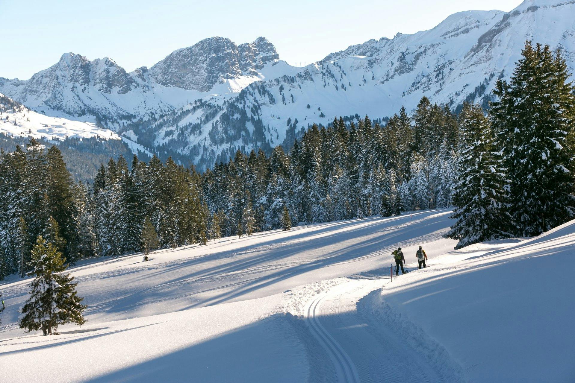 Märchenhafte Winterwanderwege in der UNESCO Biosphäre Entlebuch.