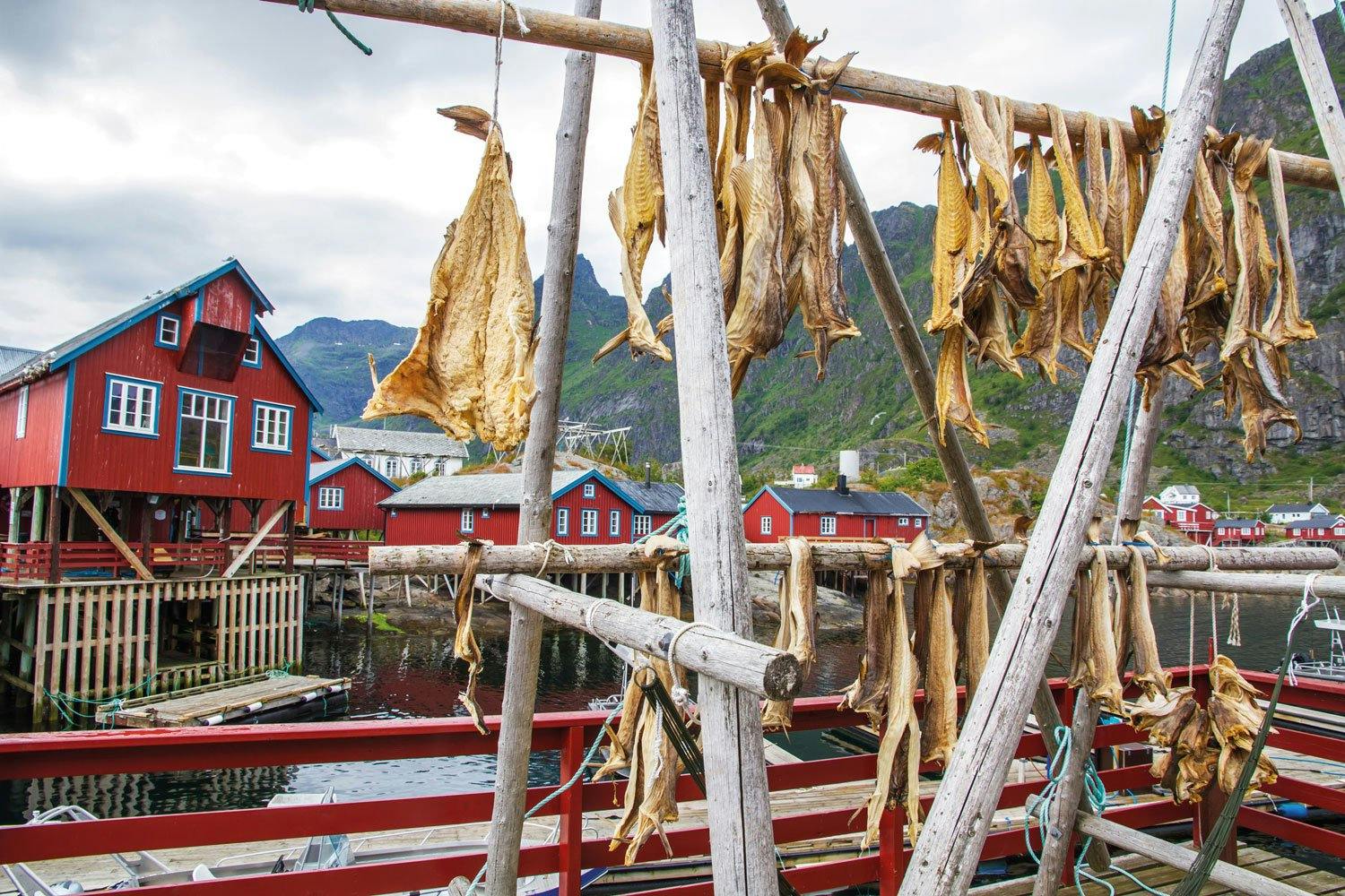 Eine Wander- oder Kajaktour ist hier genauso machbar wie eine Walbeobachtungstour.
