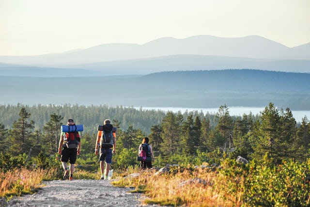Wandern Sie auf den Naturpfaden durch diese unberührte Wildnis und naschen Sie die süssen Blaubeeren.
