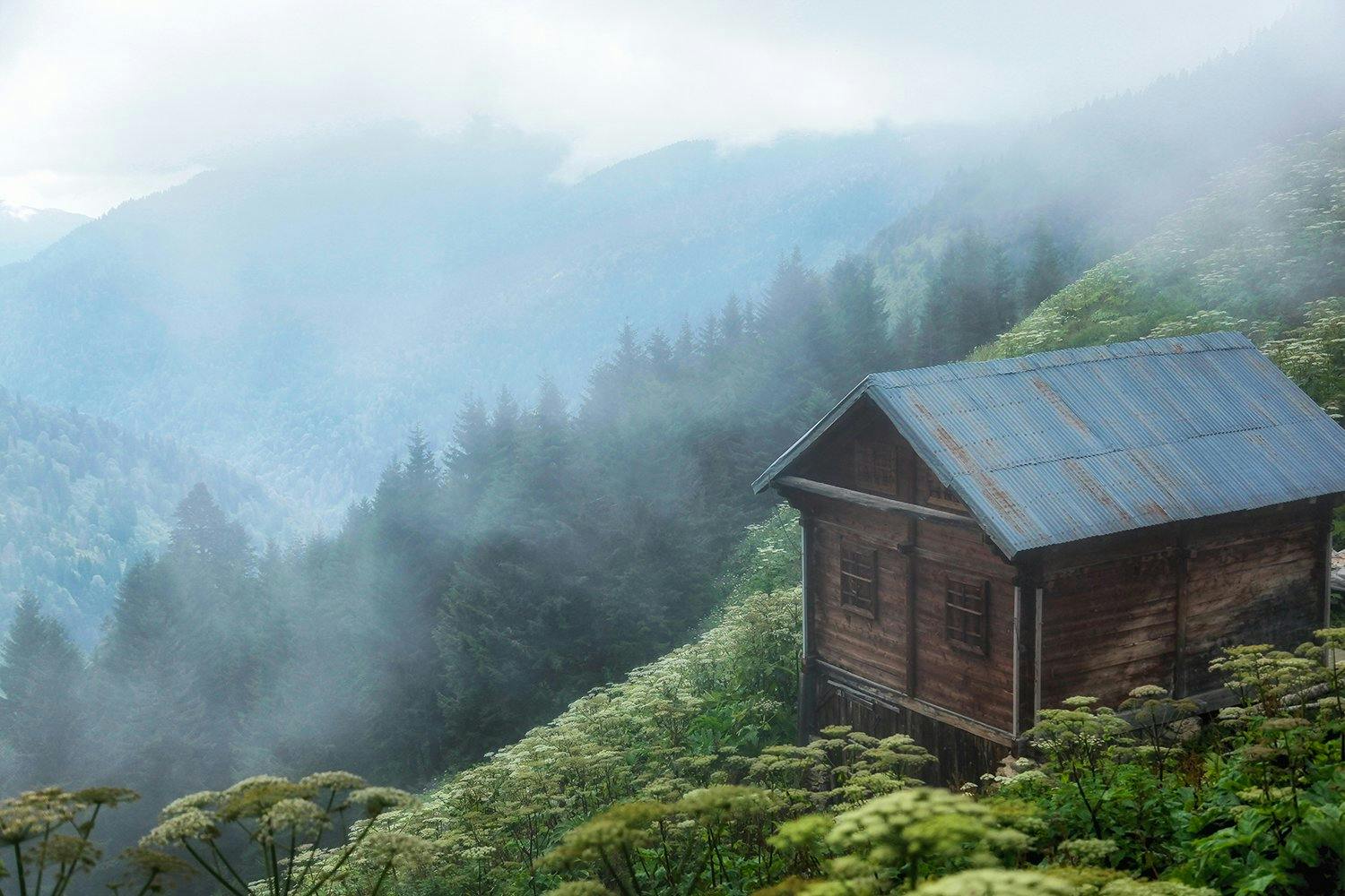 Internationale Umweltkonventionen werden gelebt und umgesetzt. Für eine nachhaltige Zukunft unseres Planeten.