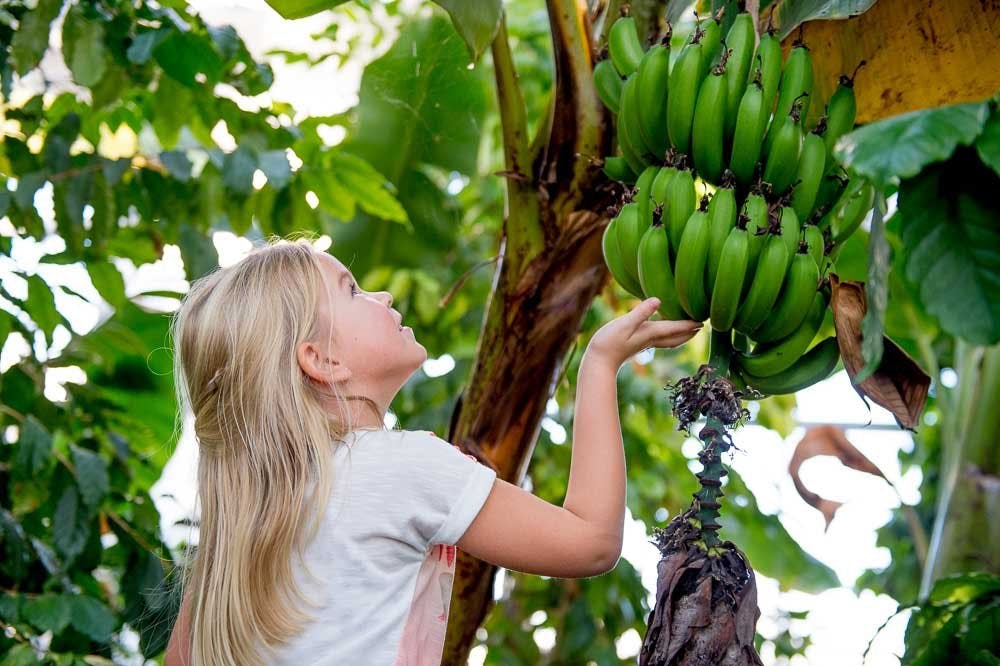 Ein tropisches Erlebnis für Gross und Klein.