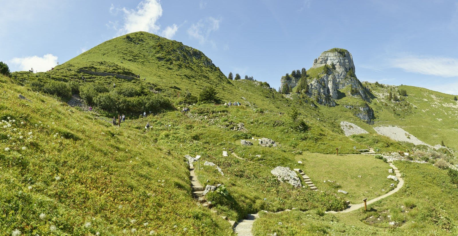 Der «Botanische Alpengarten» beherbergt seltene Pflanzen, die man aus nächster Nähe bestaunen darf.