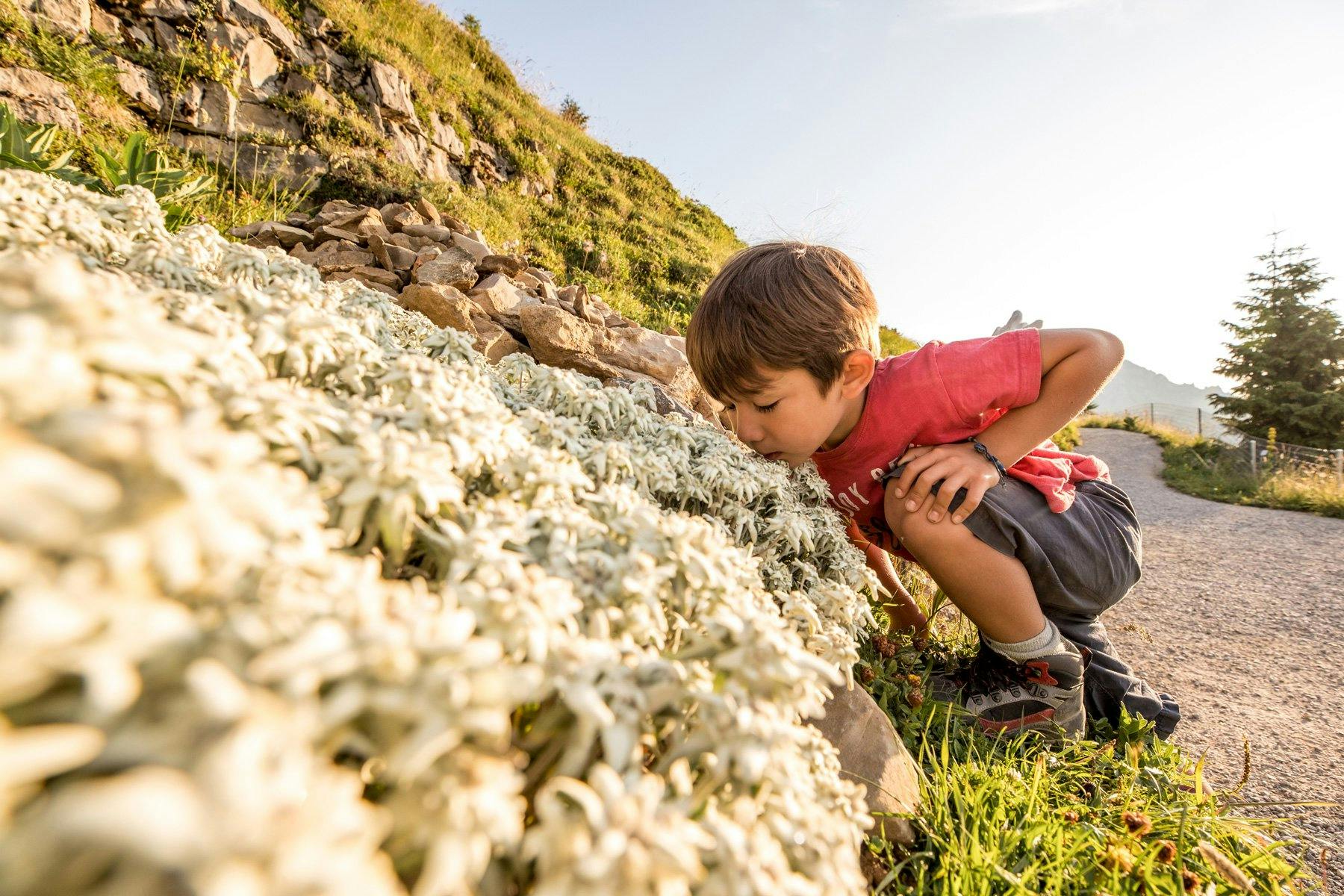 Kinder entdecken die Natur auf spielerische Art und Weise.